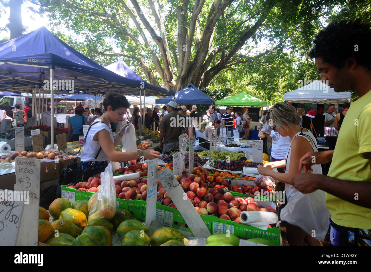 Puesto de frutas en el mercado weeked exterior a la sombra de grandes árboles, West End, Brisbane, Queensland, Australia. No, señor o PR Foto de stock