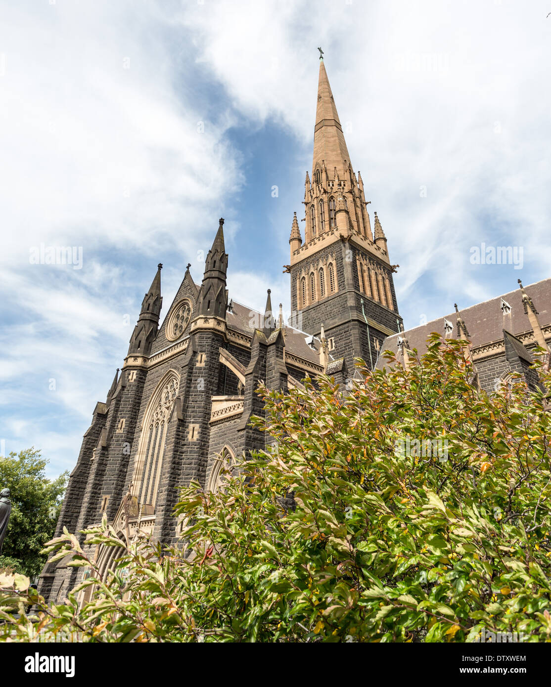 Detalle de la Catedral de St Patrick en Melbourne Foto de stock
