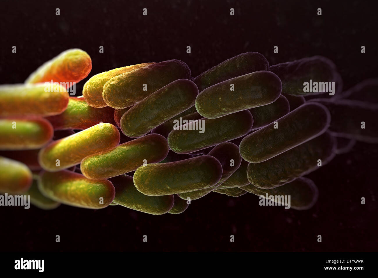 Legionnaires disease bacteria fotografías e imágenes de alta resolución