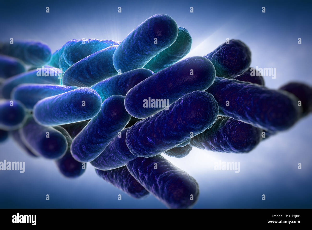 Legionnaires disease bacteria fotografías e imágenes de alta resolución