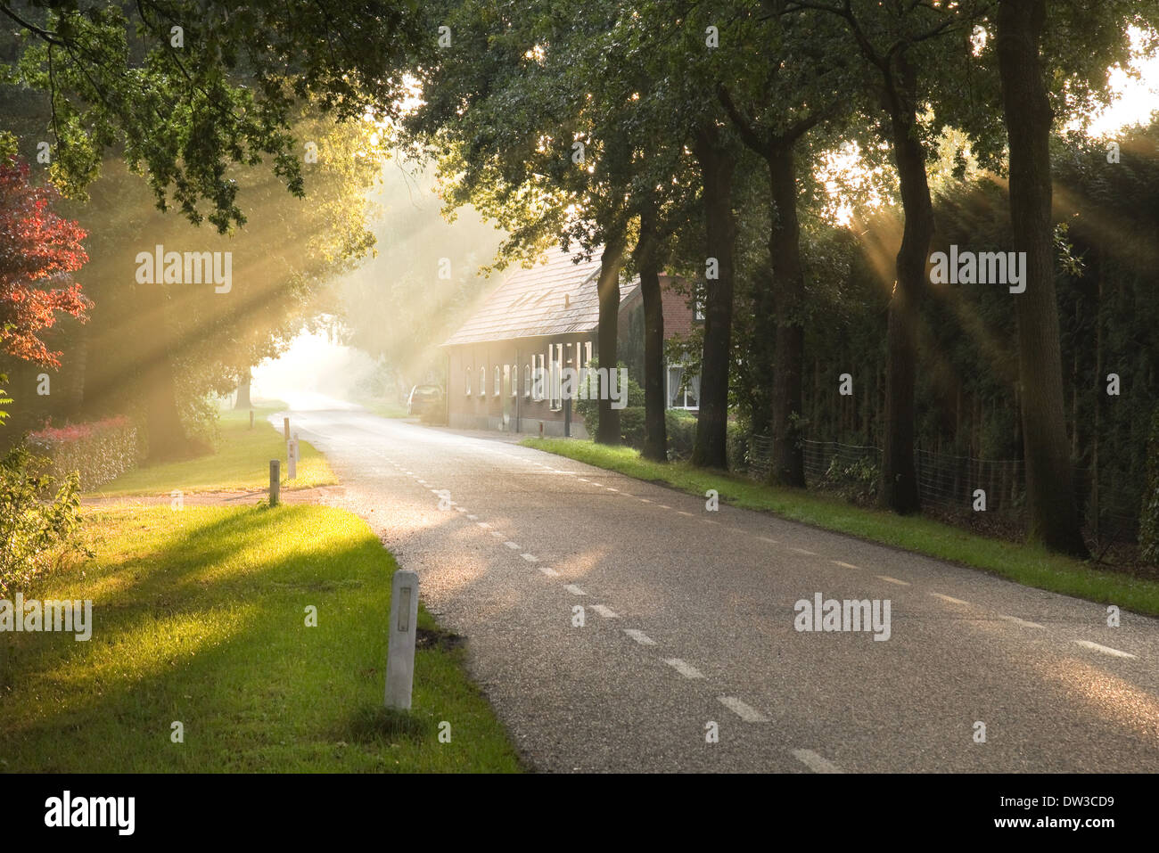 Dutch Country Road y granja, temprano en la mañana después de la lluvia de sun Foto de stock