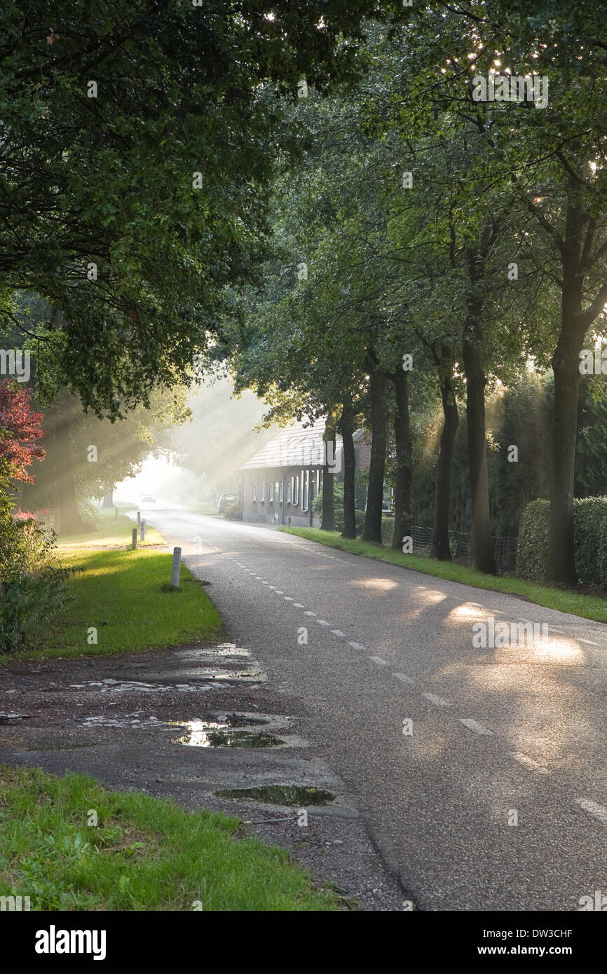 Dutch Country Road y la granja en el sol por la mañana temprano después de la lluvia - vertical Foto de stock
