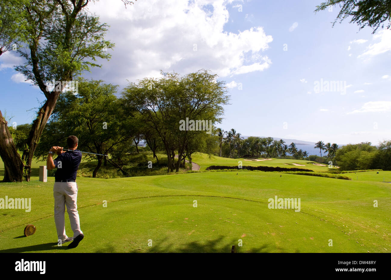 Conducción golfista en exclusive Wailea Gold Course hoyo #5 con palmeras y belleza en Maui Hawaii Foto de stock