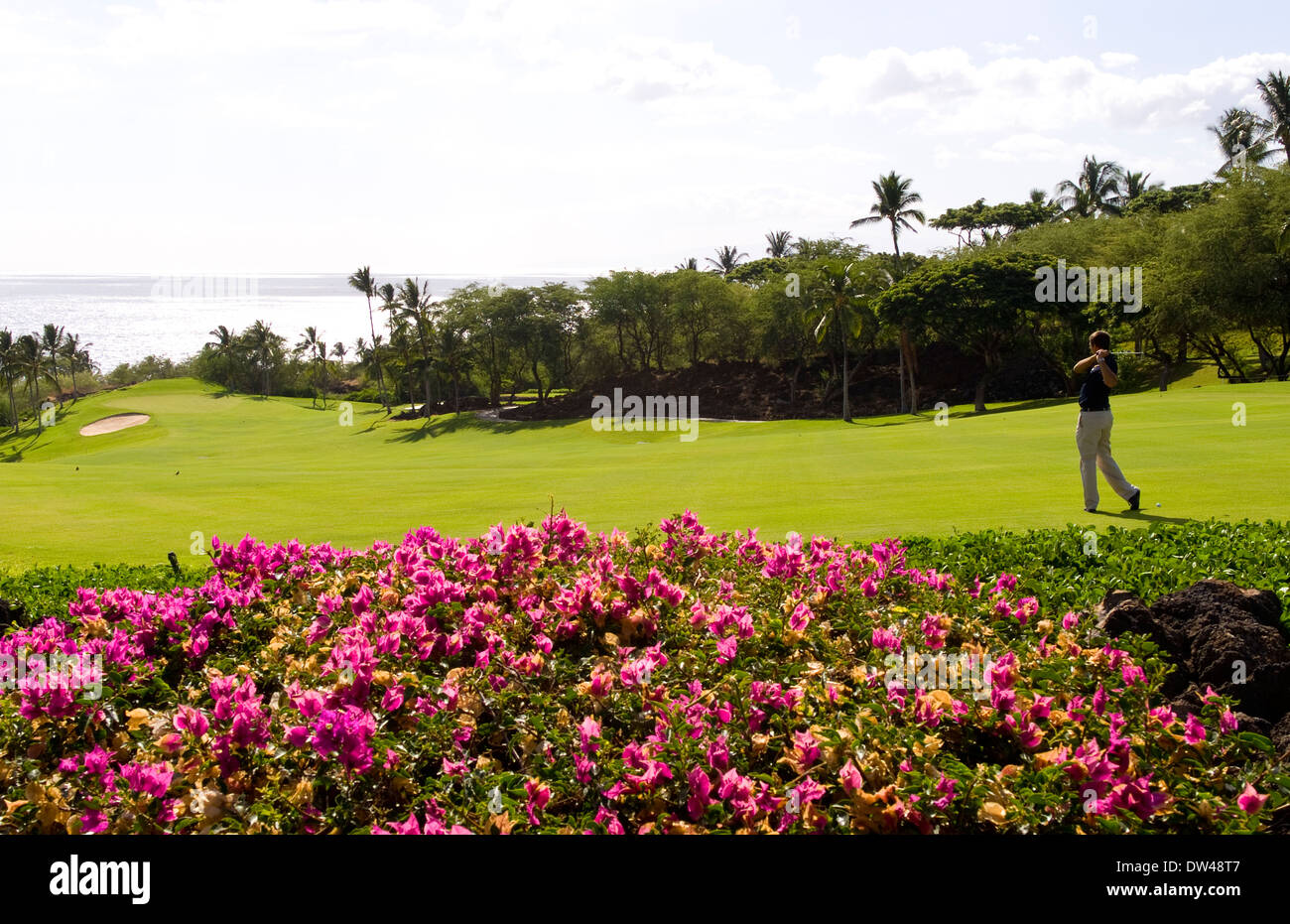 Golfista en exclusiva el Wailea hermosa esmeralda agujero curso #1 con palmeras, flores belleza en Maui Hawaii Foto de stock