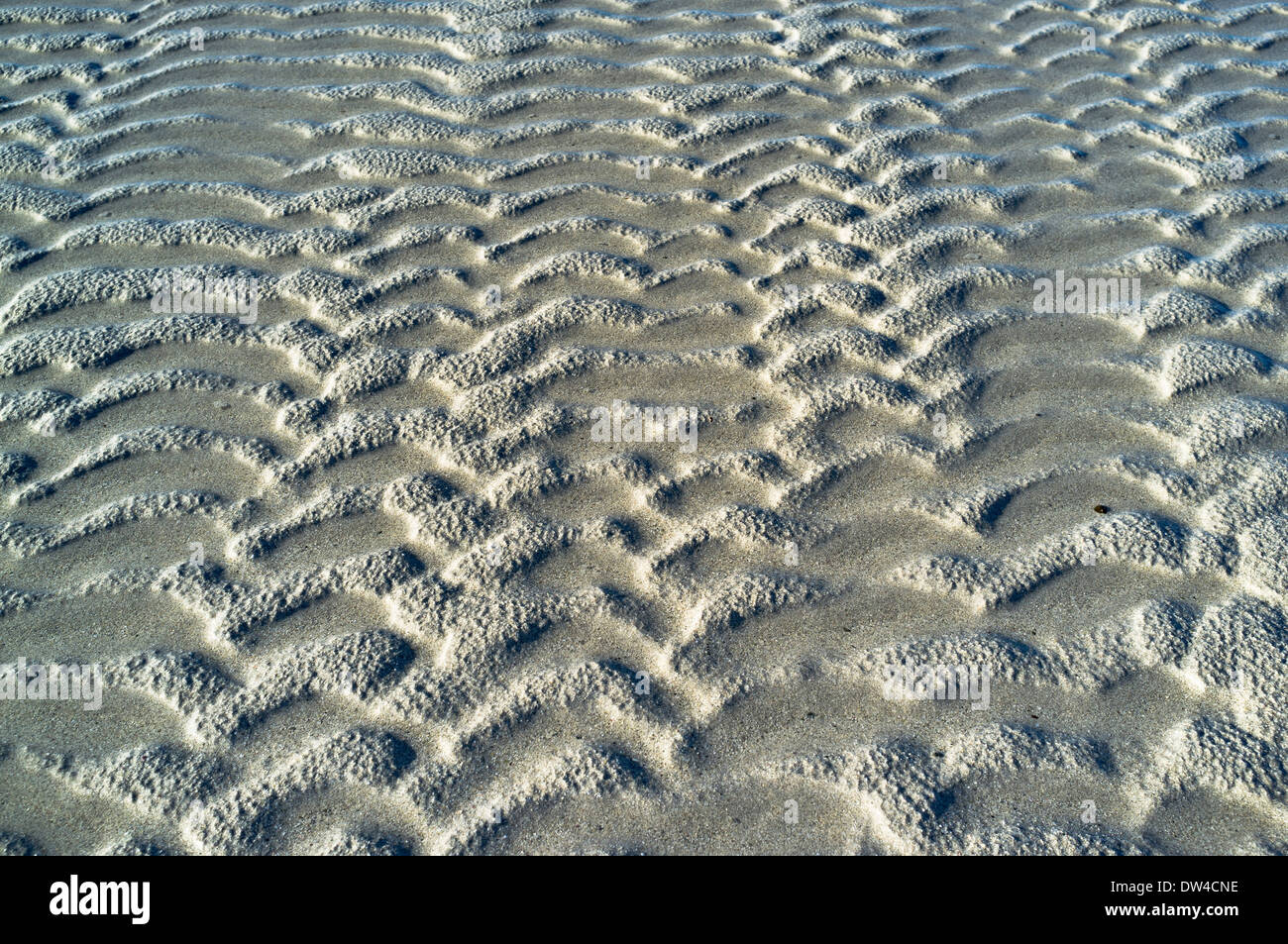 FONDO DE ARENA dh Patrones de arena abstractos marea baja fondo del lecho marino patrón de cerca de la textura de la playa Foto de stock