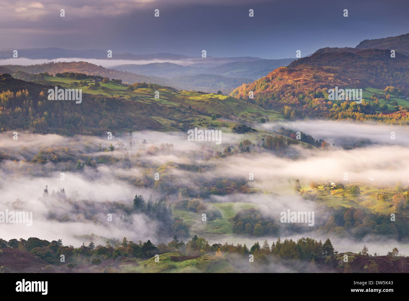 Neblina cubrió páramos en el Lake District National Park, Cumbria, Inglaterra. Otoño (octubre de 2012). Foto de stock