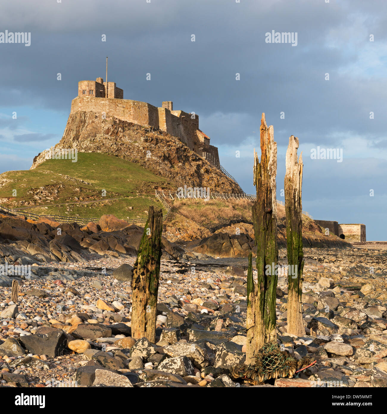 Castillo de Lindisfarne en Holy Island, Northumberland, Inglaterra. La primavera (abril) de 2013. Foto de stock
