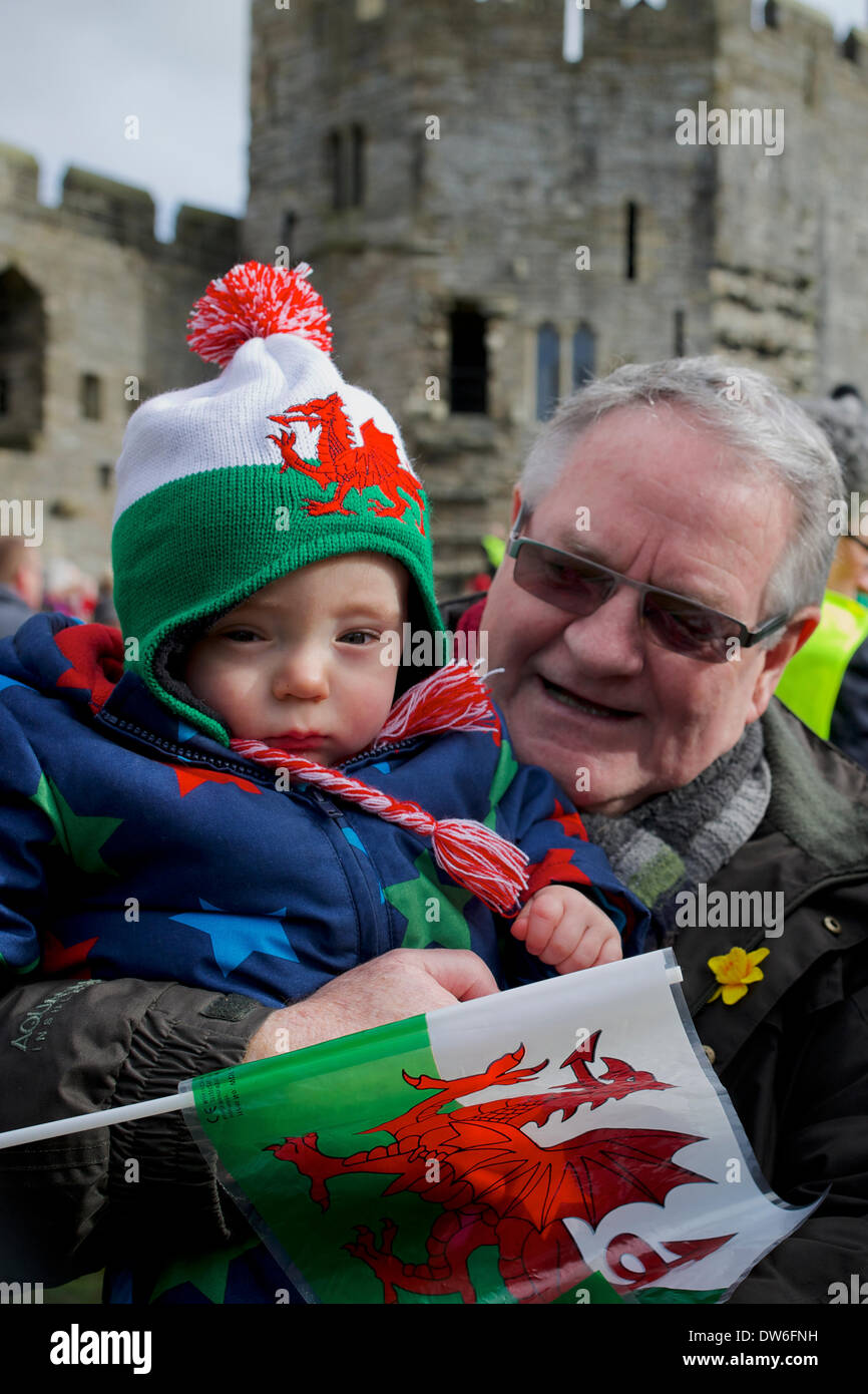 Caernarfon, Norte de Gales, Reino Unido. El 1 de marzo de 2014. La famosa cantante de folk y político Galés Dafydd Iwan celebra el Día de San David (patrona de Gales) con familias locales en el castillo de Caernarfon. Un montón de Dragón Galés banderas y narcisos en la pantalla. Crédito: Rhys Llwyd/Alamy Live News Foto de stock