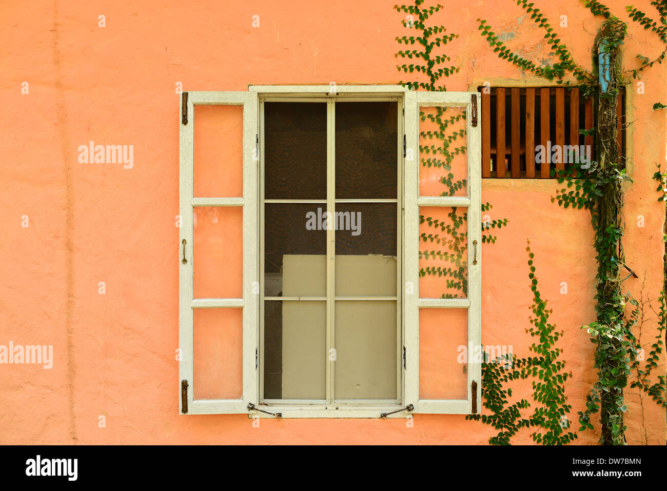 Ventanas de madera vieja con ivy Foto de stock