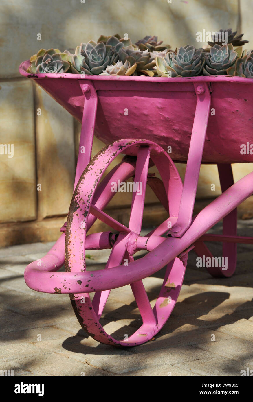 Clarens, Estado Libre de Orange, Sudáfrica, cerrar, objeto antiguas rosa carretilla decorativa, maceta, jardinería Foto de stock