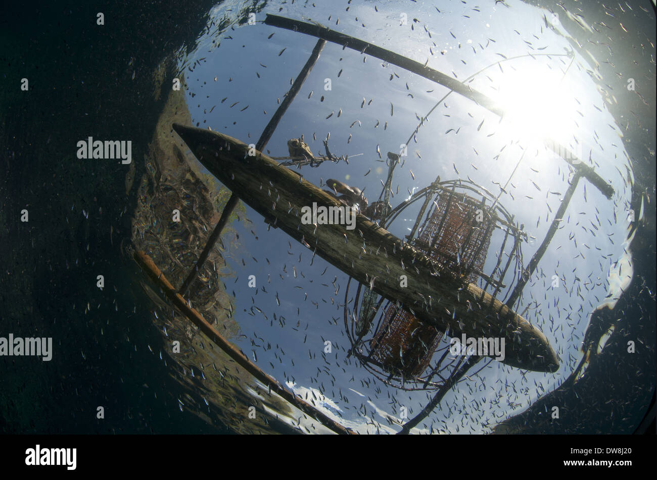 Pescador con cesta de pescado en barco pesquero por encima y por debajo de la superficie del cardumen de peces de agua punto de crucifixión Pantar Isla Alor Foto de stock
