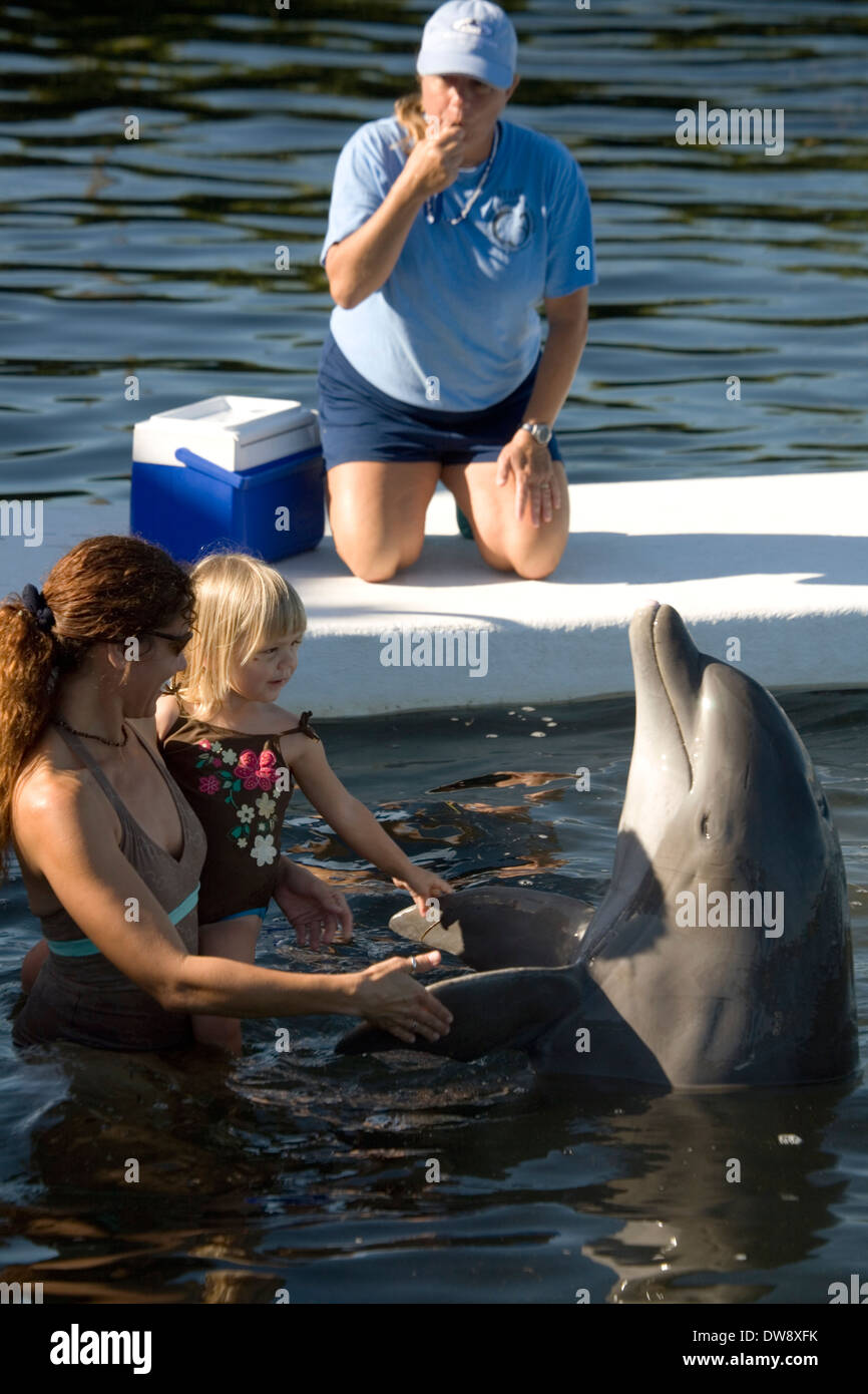 Centro de Investigación de delfines, Grassy Key, cerca de Maratón, Florida, EE.UU. Foto de stock