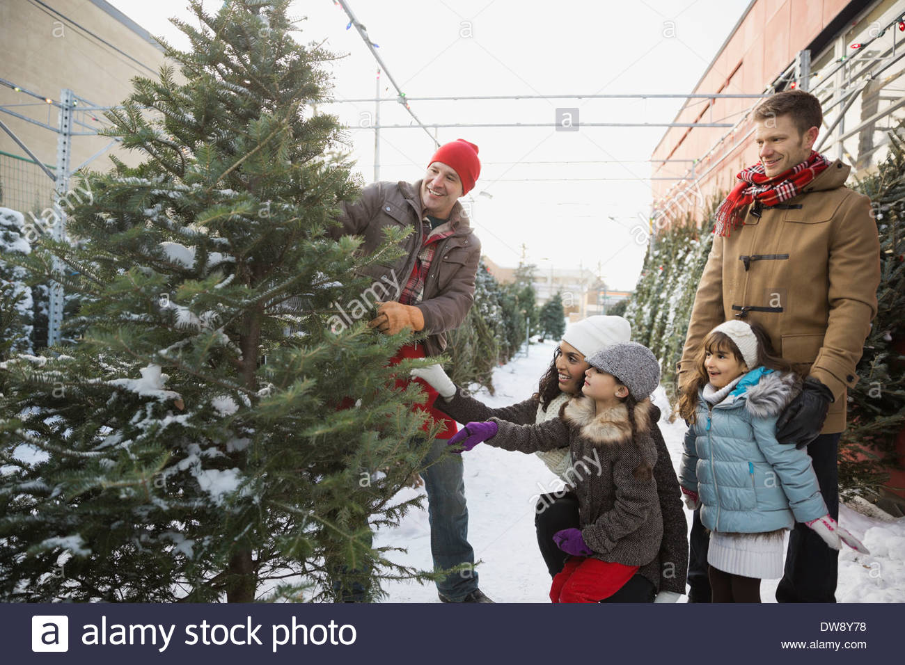 Familia de compras para el árbol de Navidad Foto de stock