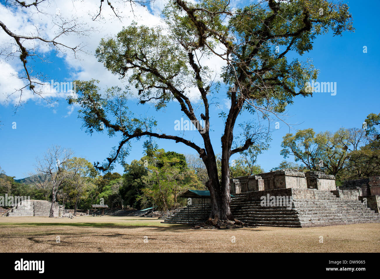 Parque arqueológico de Copán Ruinas en Honduras Foto de stock