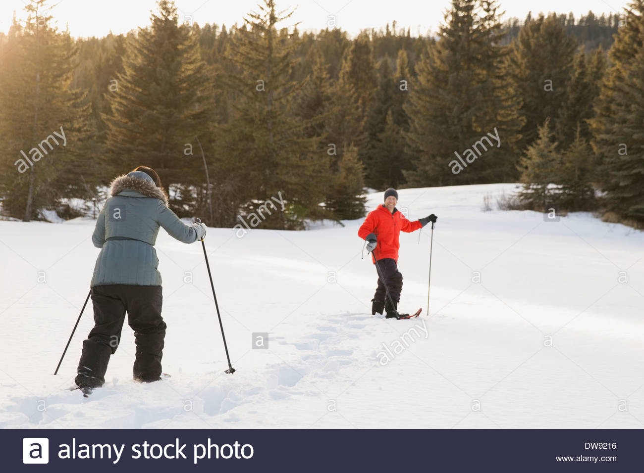 Par de raquetas de nieve en el bosque remoto Foto de stock