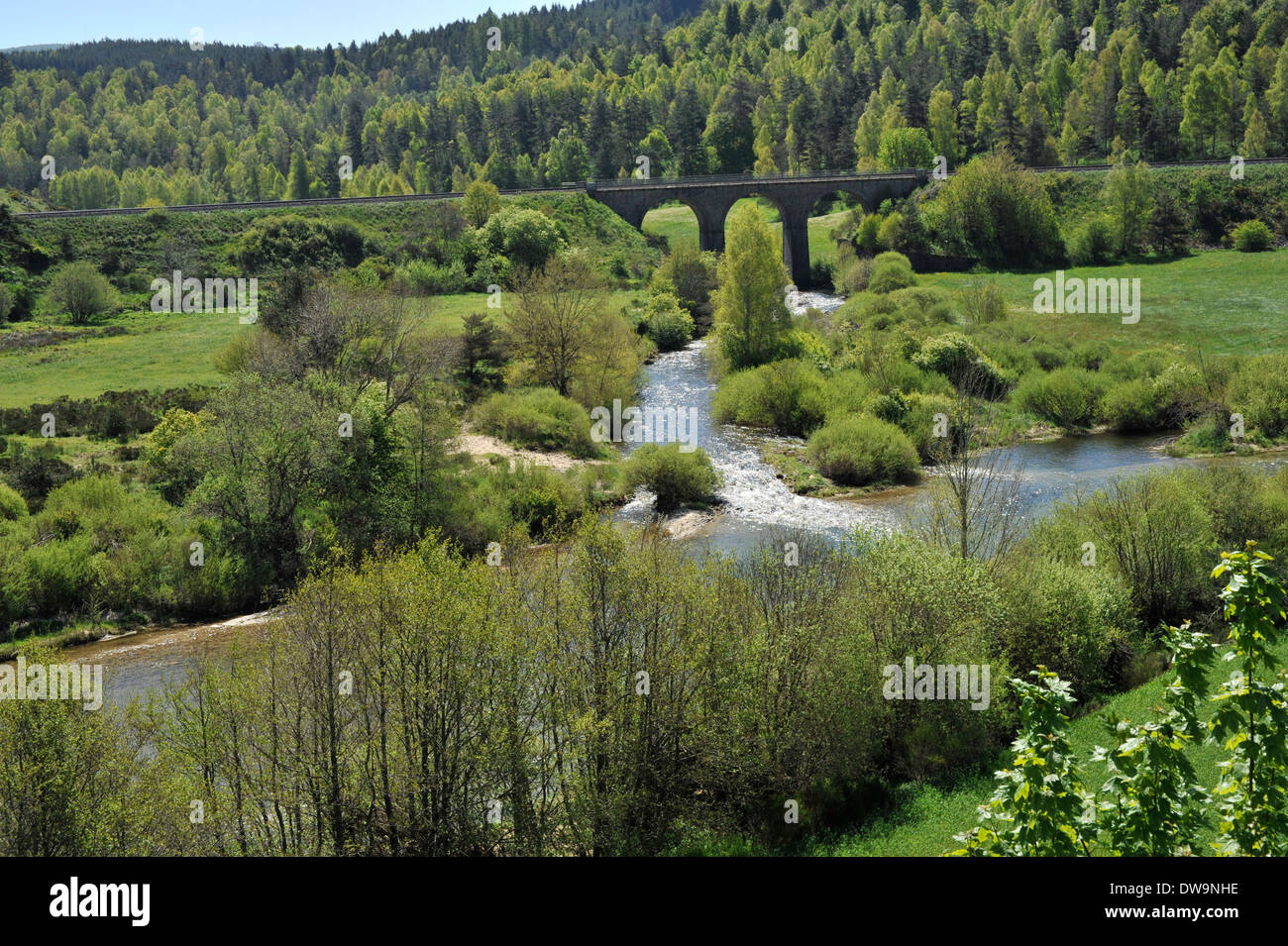Río Allier Auvernia, Francia Foto de stock
