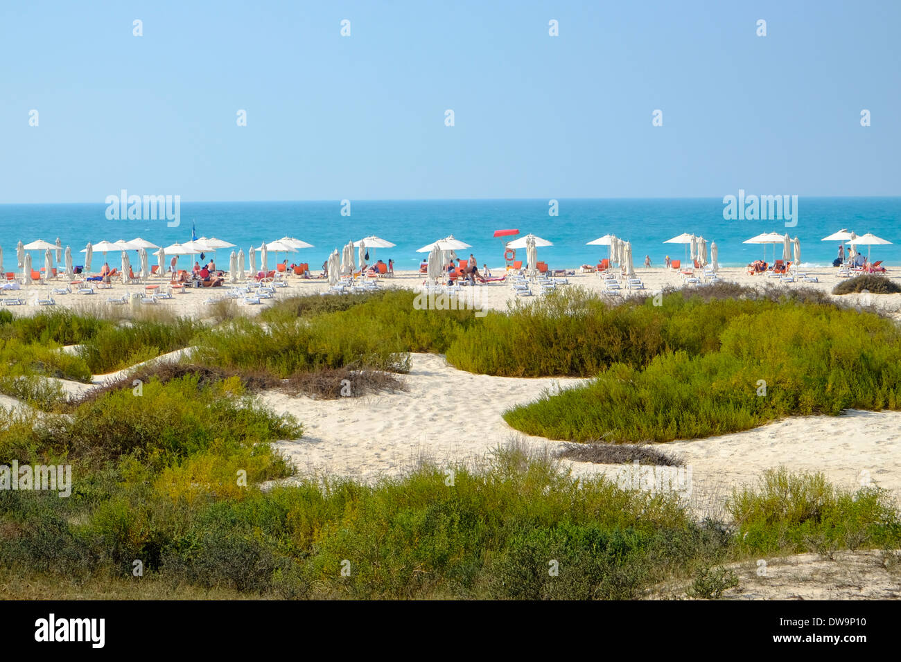 Las dunas de arena y de la playa pública en la Isla de Saadiyat, en Abu Dhabi, Emiratos Árabes Unidos. Foto de stock