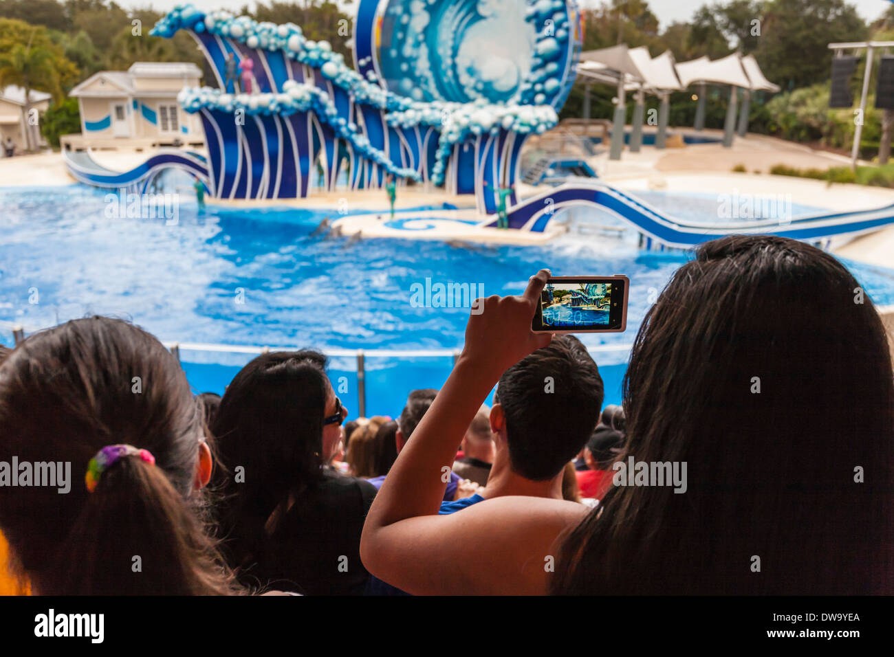 Park guest tomando fotografías con cámara de teléfono celular en el Blue Horizons espectáculo en SeaWorld Orlando Foto de stock