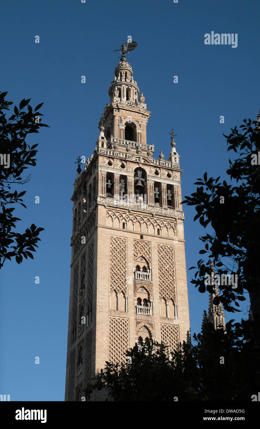 La Giralda ('La Giralda'‎) un antiguo minarete que es ahora un campanario de la Catedral, Sevilla (Sevilla), Andalucía, España. Foto de stock