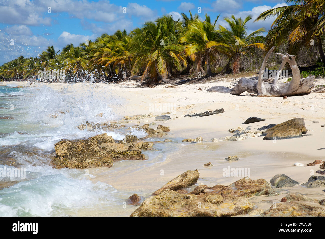 Exótica playa, mar Caribe Foto de stock