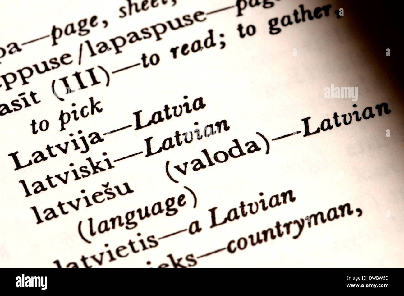 Lengua Letona Fotos e Imágenes de stock Alamy