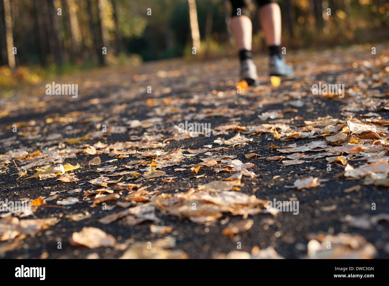 Primer plano de los pies caminando por un sendero pavimentado a través de hojas en el otoño Foto de stock
