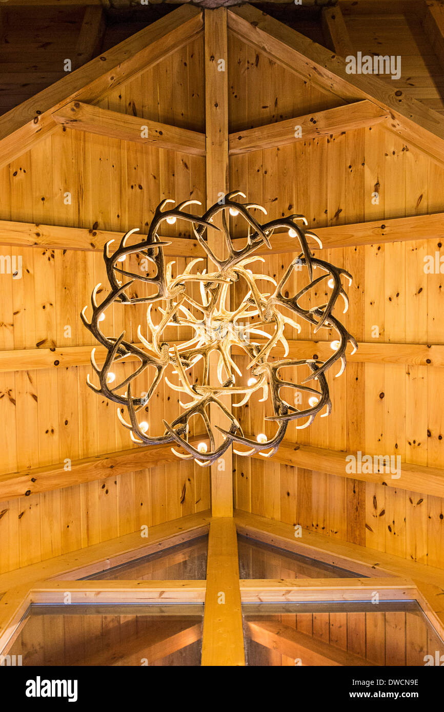 Ver arriba de elaborar elkhorn araña en un lodge en Hocking Hills, Ohio. Foto de stock