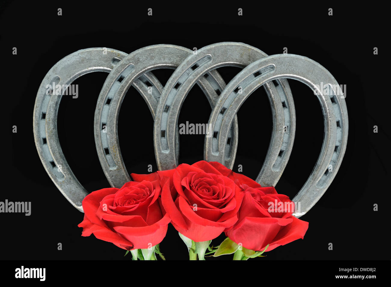 Cuatro herraduras, con tres rosas rojas, en un arco simétrico buena fortuna y suerte, una foto de estudio sobre fondo negro Fotografía de stock - Alamy Cuatro herraduras, con tres rosas rojas, en un arco simétrico buena fortuna y suerte, una foto de estudio sobre fondo negro Fotografía de stock - Alamy