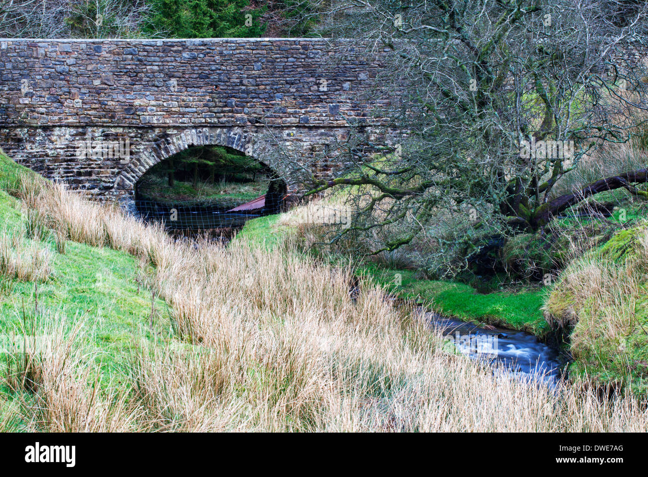 Puente de piedra sobre el Beck en cabeza Garsdale Yorkshire Dales Cumbria Inglaterra Foto de stock