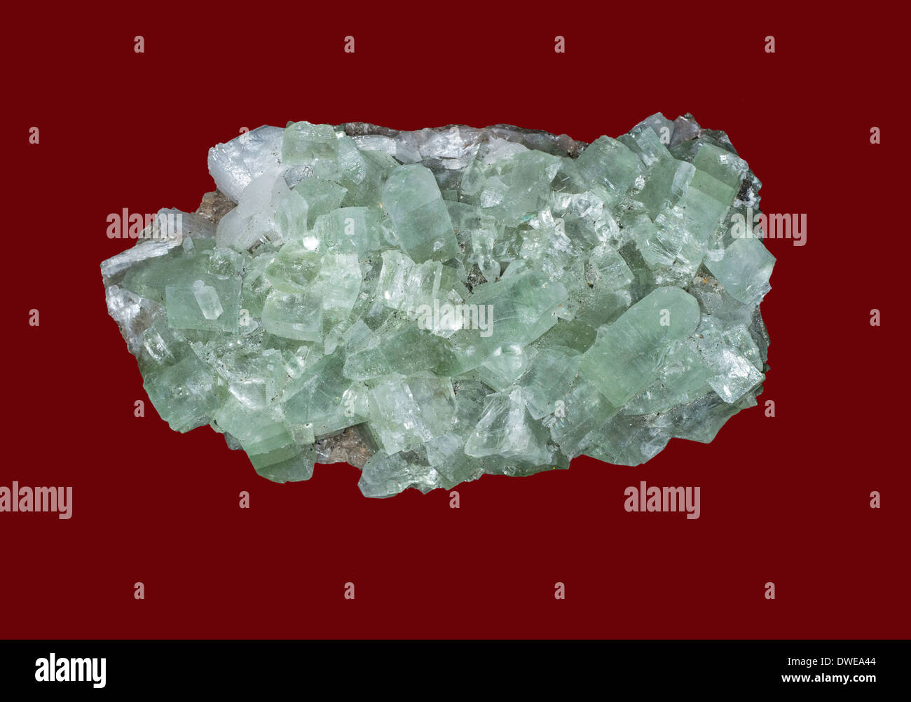 Verde mineral Apophyllite Poona India Foto de stock