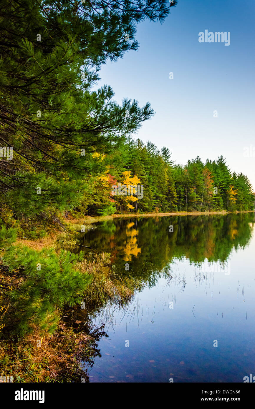 Reflexiones de otoño en Long Pine ejecutará el depósito, en el Bosque Estatal de Michaux, Pennsylvania. Foto de stock