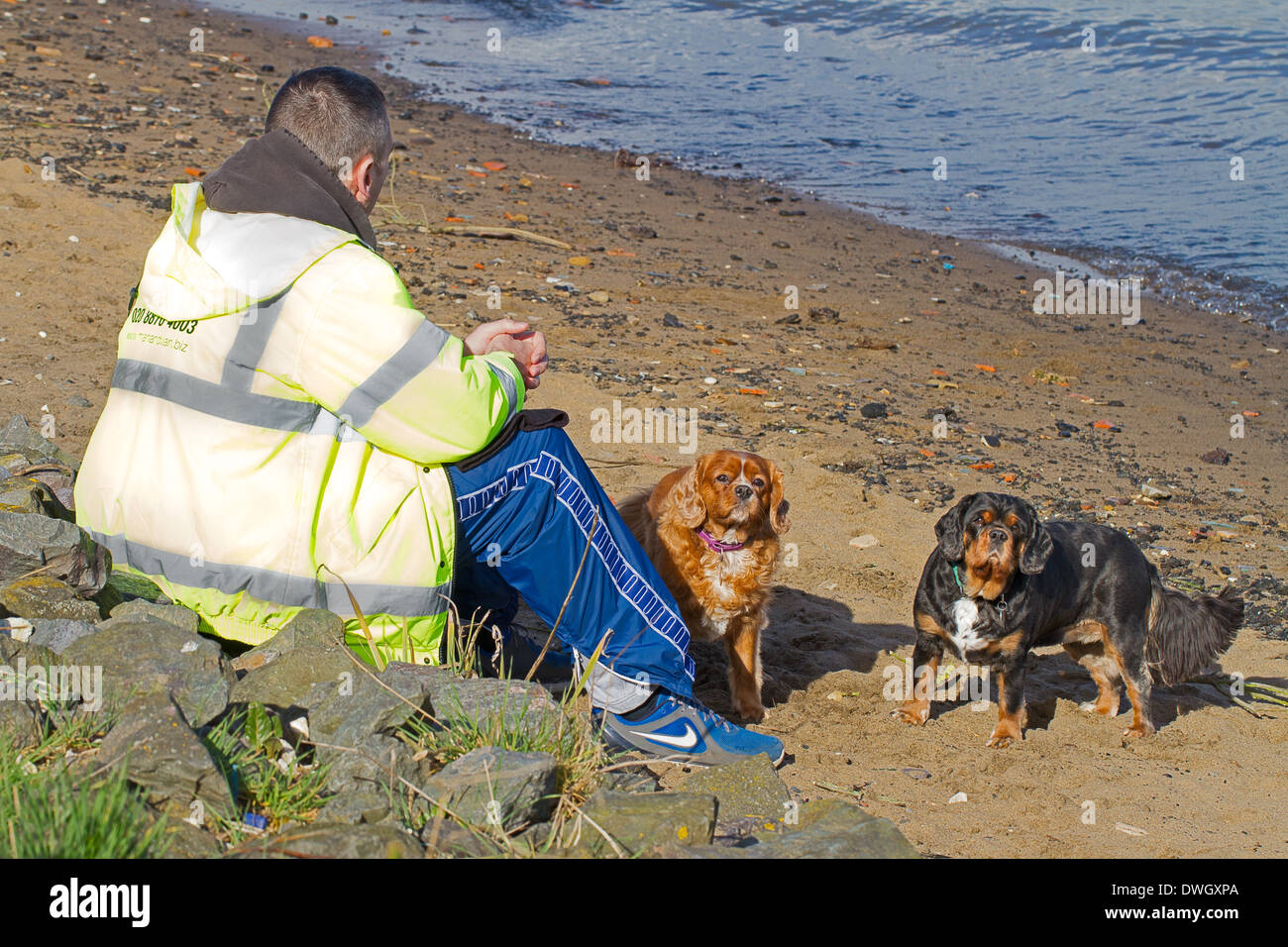 Un hombre y sus perros descansando en la orilla del Támesis en North Greenwich Foto de stock