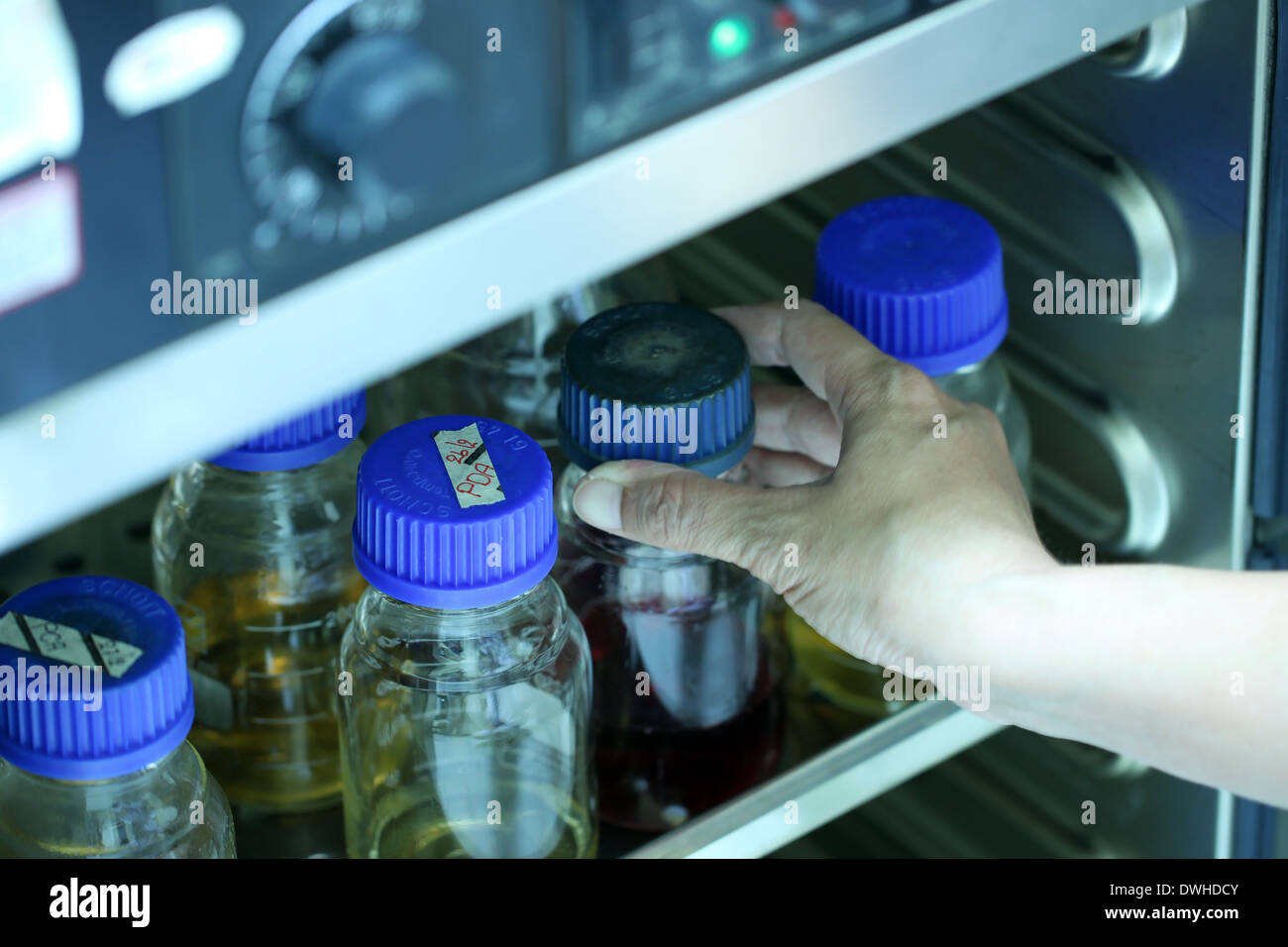 Botellas de reactivo en el gabinete libre de gérmenes en el laboratorio. Foto de stock