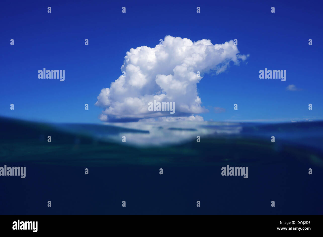 Cielo azul y el mar dividida por la línea de agua con una nube reflejado sobre la superficie del agua del mar Caribe Foto de stock