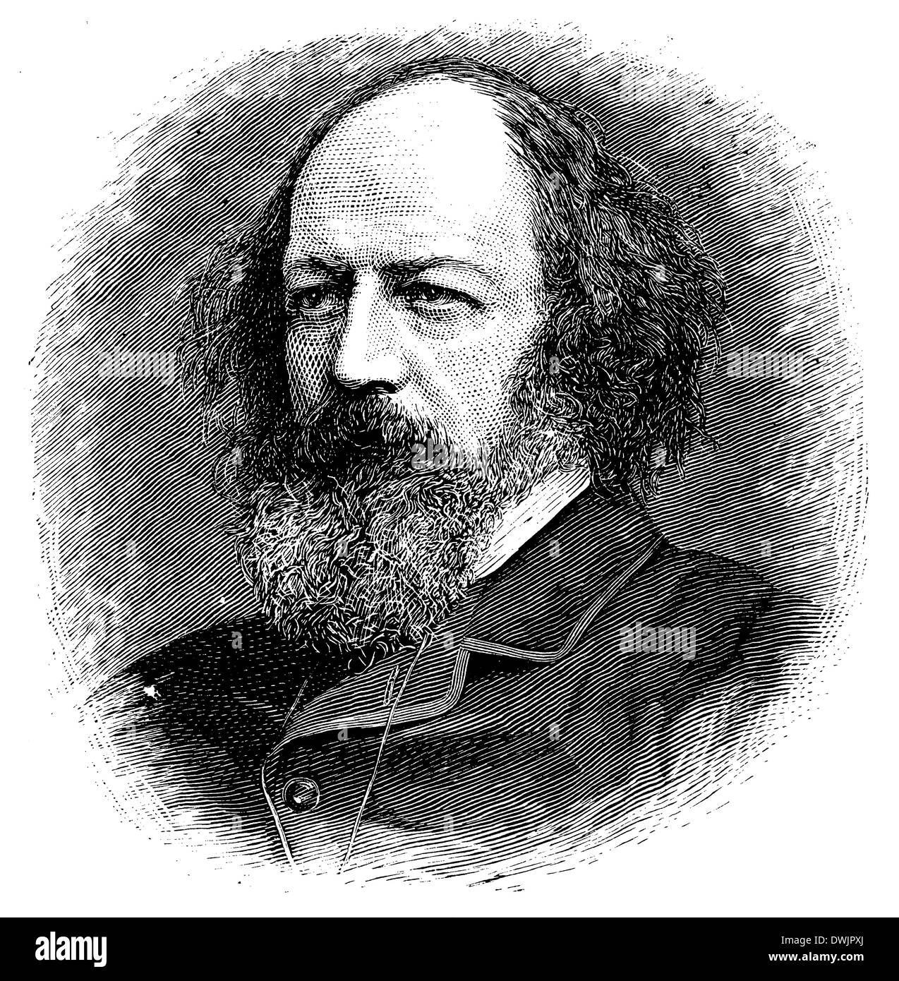Alfred Tennyson. A partir de una fotografía de Elliott & Fry. Foto de stock
