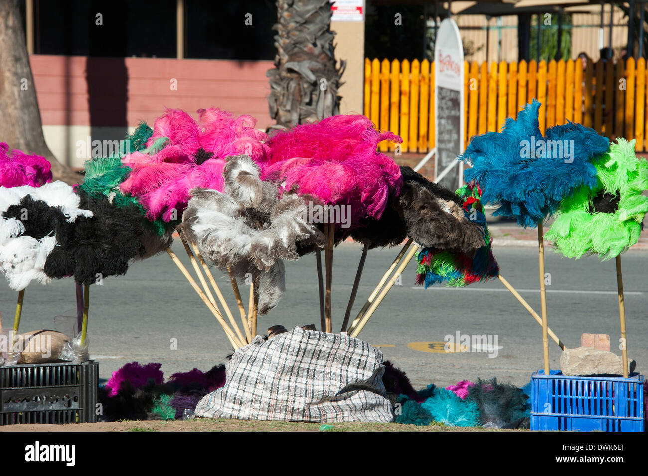 Plumas de avestruz Foto de stock