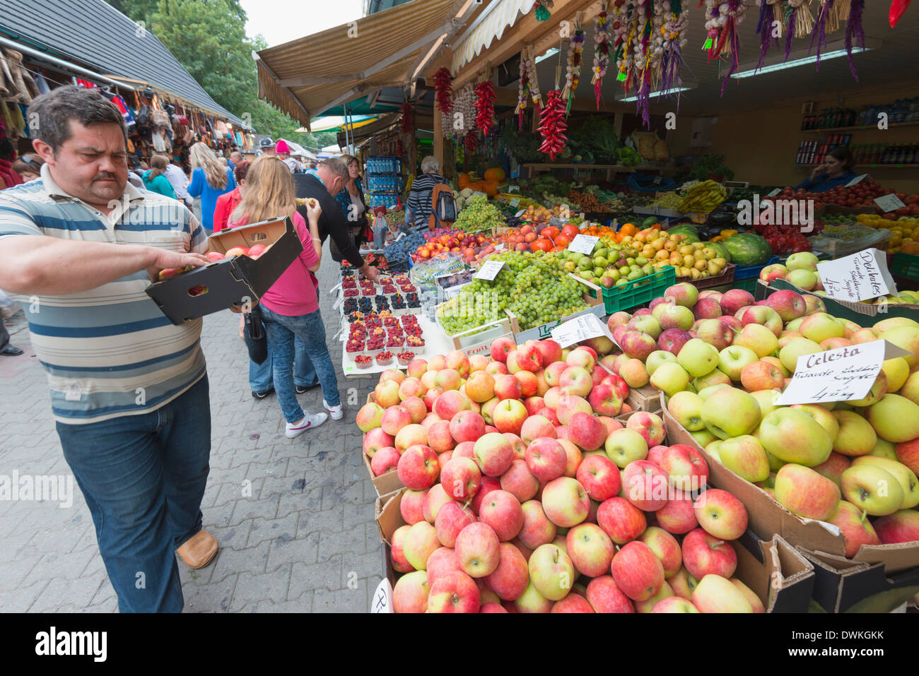 Puesto de frutas en el mercado, los Cárpatos, Zakopane, Polonia, Europa Foto de stock