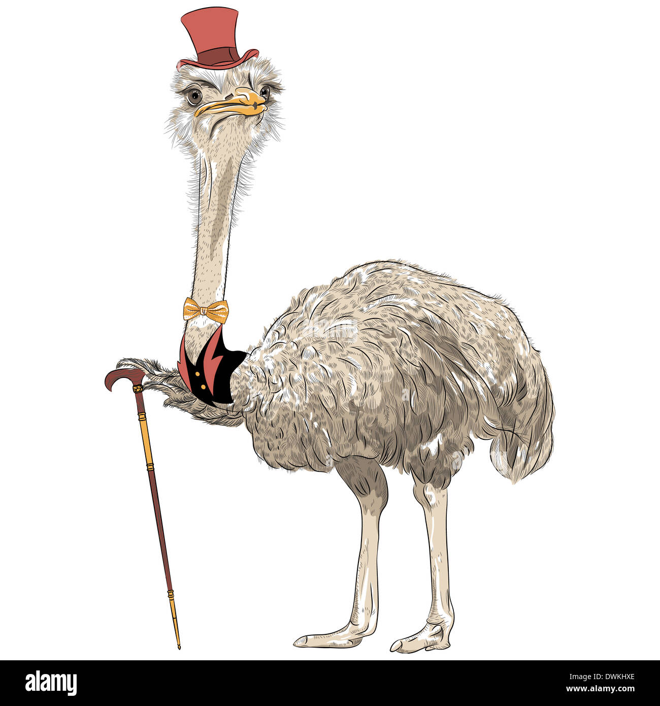 Resultado de imagen de ostrich with hat