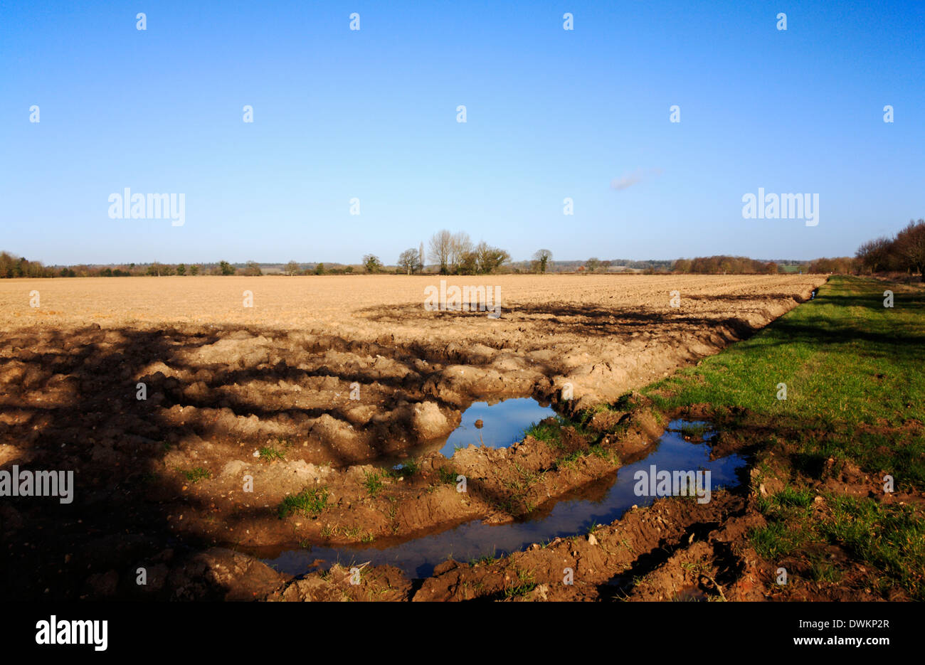 Un campo recién arado con tractor fangosas punto de inflexión y cabecera en una explotación arable en el centro de Norfolk. Foto de stock