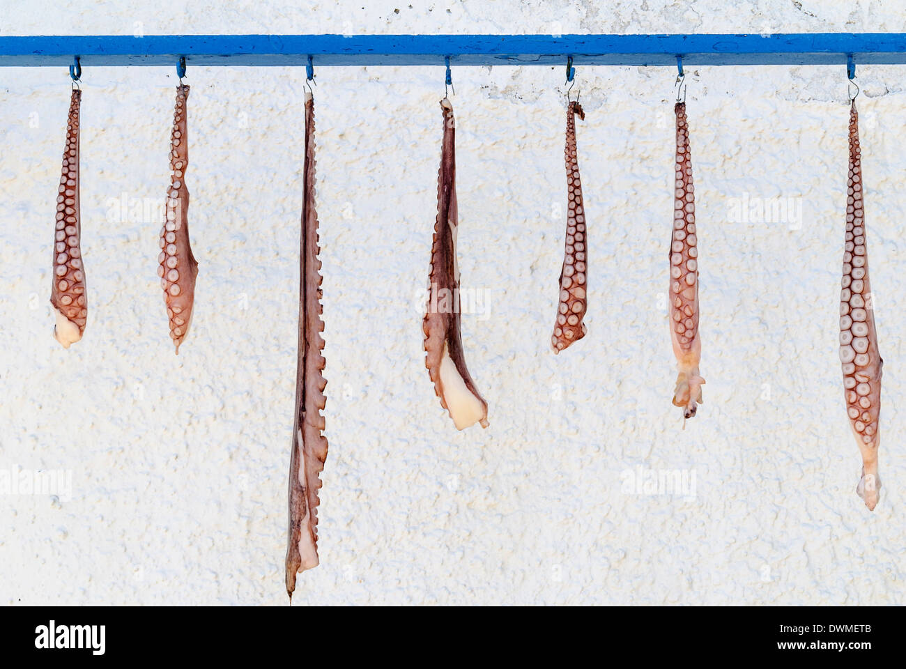 Pulpo tentáculos colgado a secar, Isla de Milos, Cyclades, Grecia Foto de stock