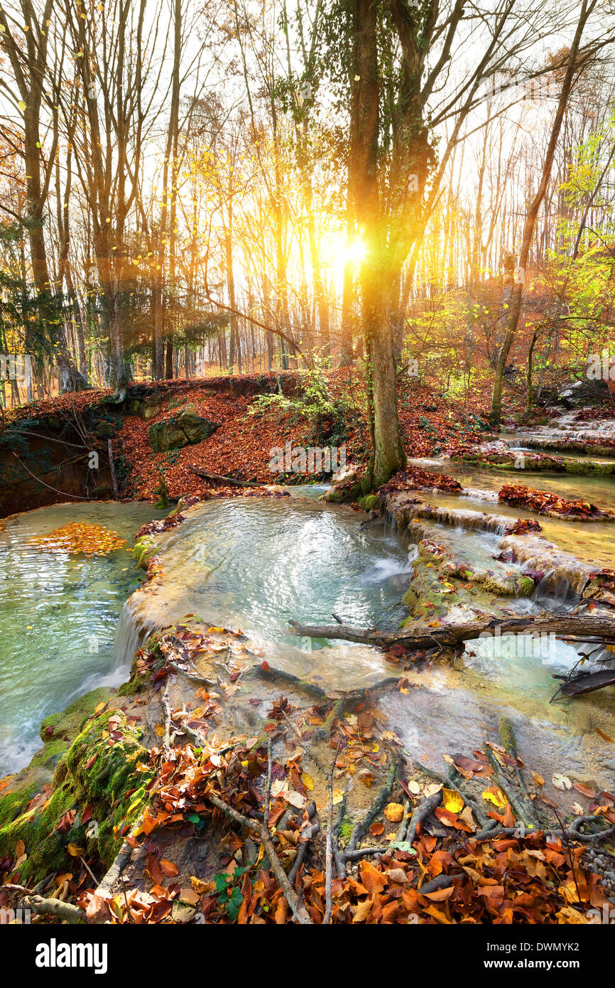 Cascada río de montaña en el bosque en otoño Foto de stock