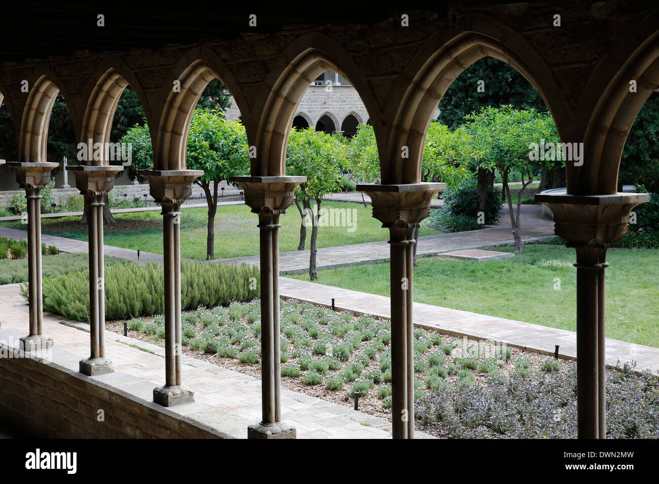 Claustro del Monasterio de Pedralbes, Barcelona, Cataluña, España y Europa Foto de stock