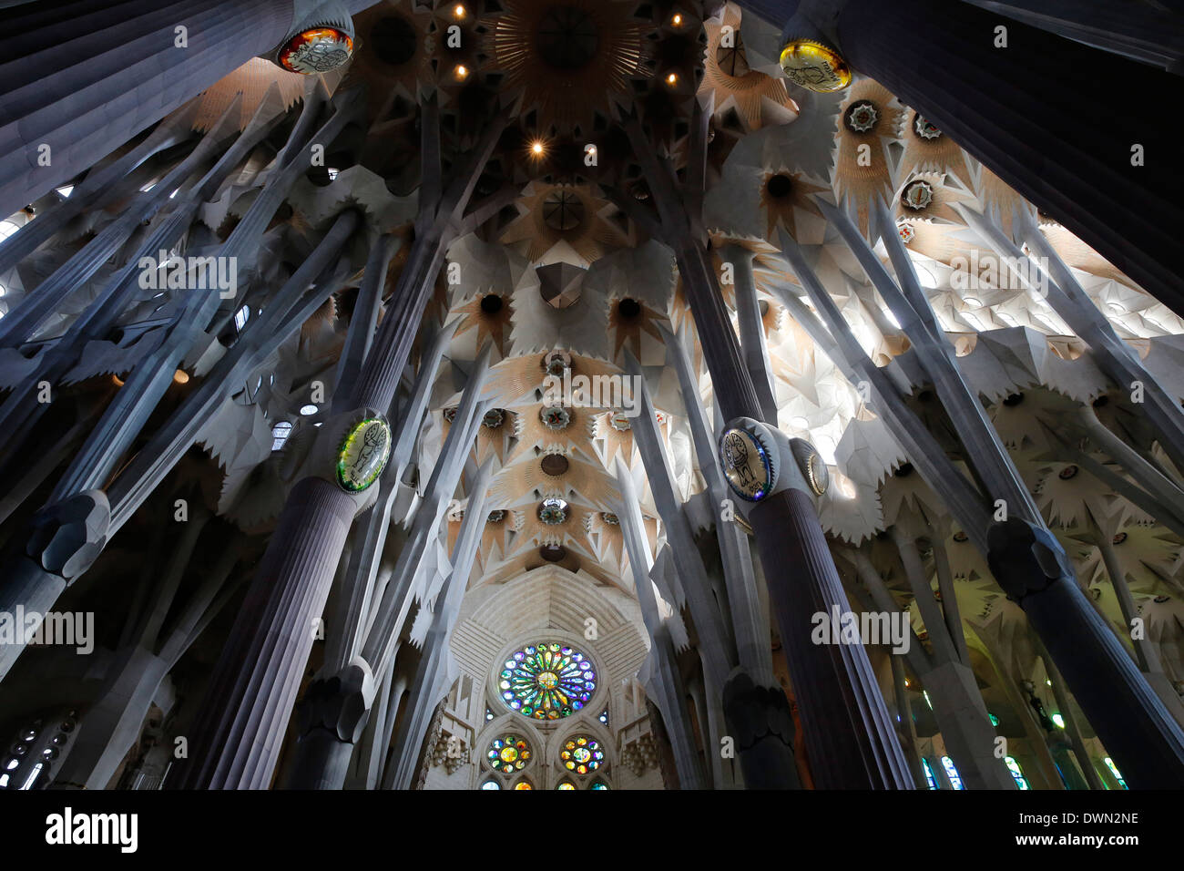 Pilares y techo, la Basílica de la Sagrada Familia, Barcelona, Cataluña, España y Europa Foto de stock
