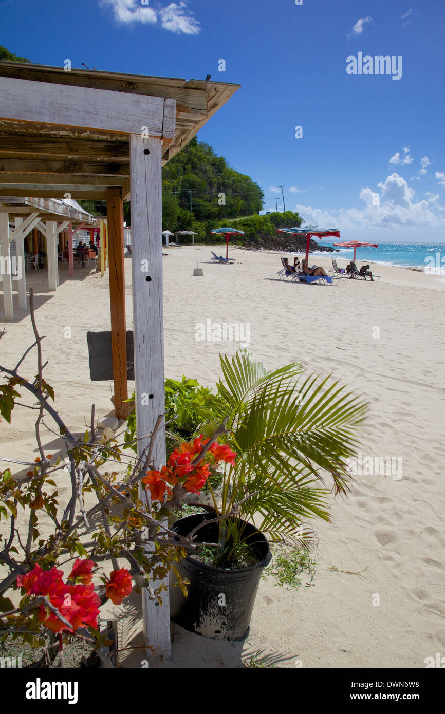 Darkwood Beach, St. Johns, Antigua, Islas de Sotavento, Antillas, Caribe, América Central Foto de stock