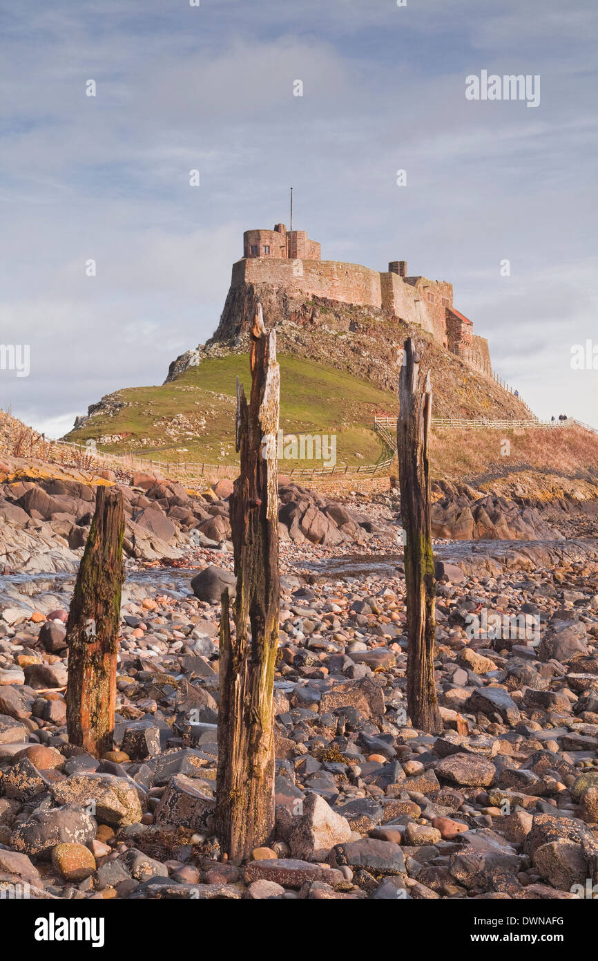 Castillo en la isla sagrada de Lindisfarne, en Northumberland, Inglaterra, Reino Unido, Europa Foto de stock