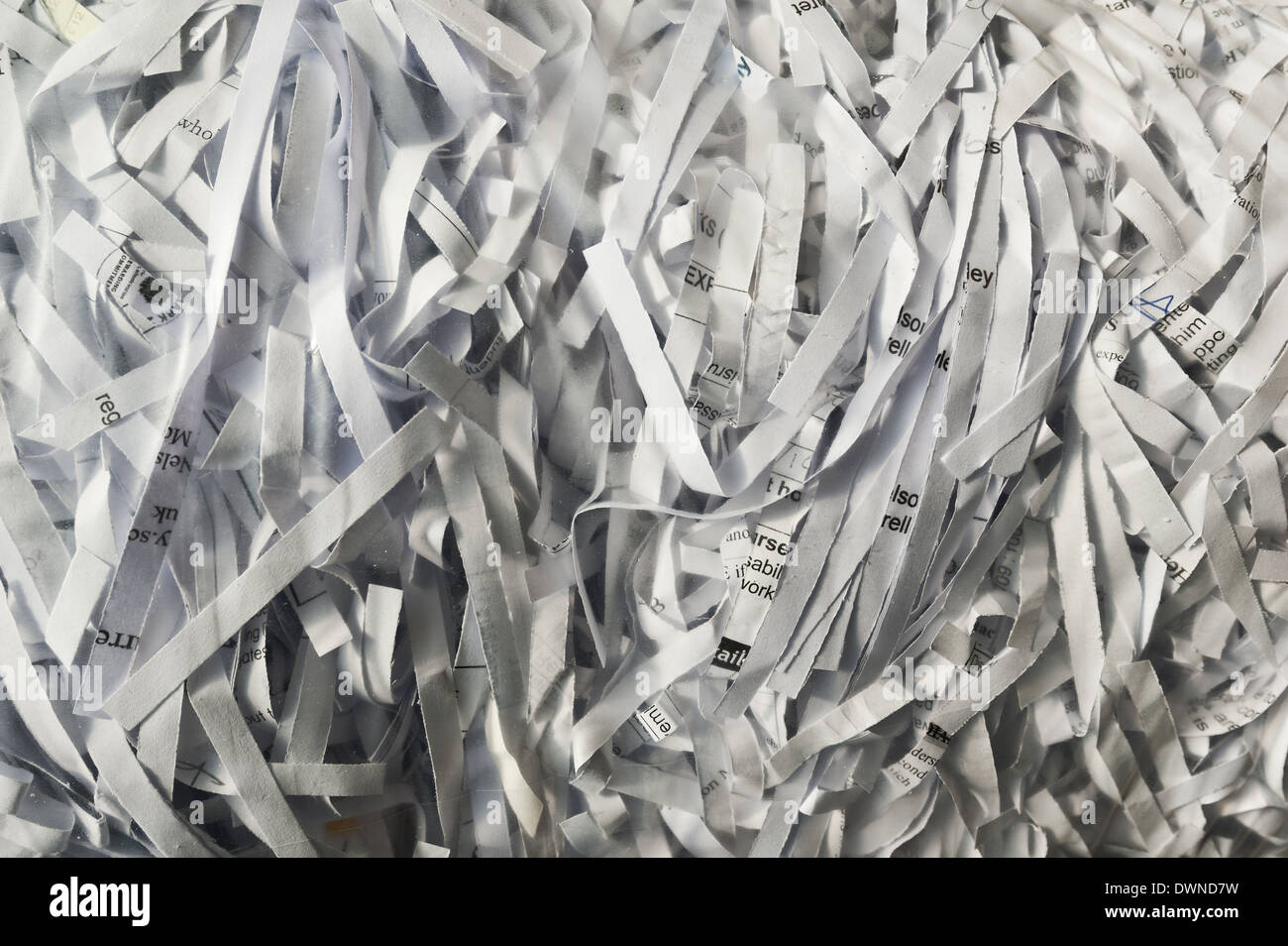 Documentos purgados los desechos de papel dentro de una bolsa transparente de plástico fino listo para reciclar Foto de stock