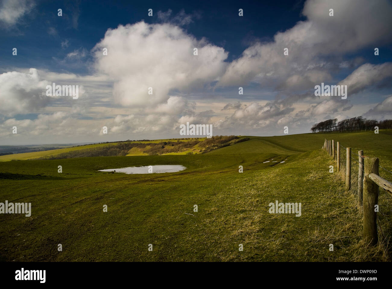 Neolítico cerca del estanque de rocío Chanctonbury Ring en los South Downs, West Sussex, UK Foto de stock