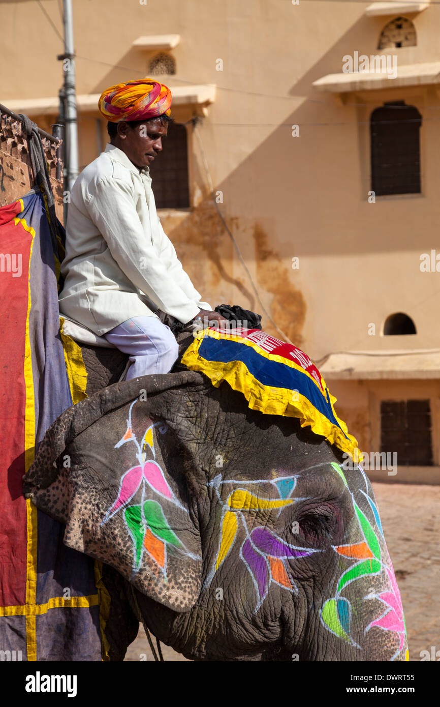 Ámbar (o Amer) Palacio, cerca de Jaipur, Rajasthan, India. Elefante, guiados por un Mahout, lleva a los visitantes por la empinada ruta de palacio. Foto de stock