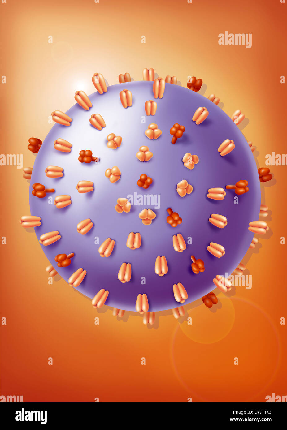 El virus de la influenza, el dibujo Fotografía de stock - Alamy