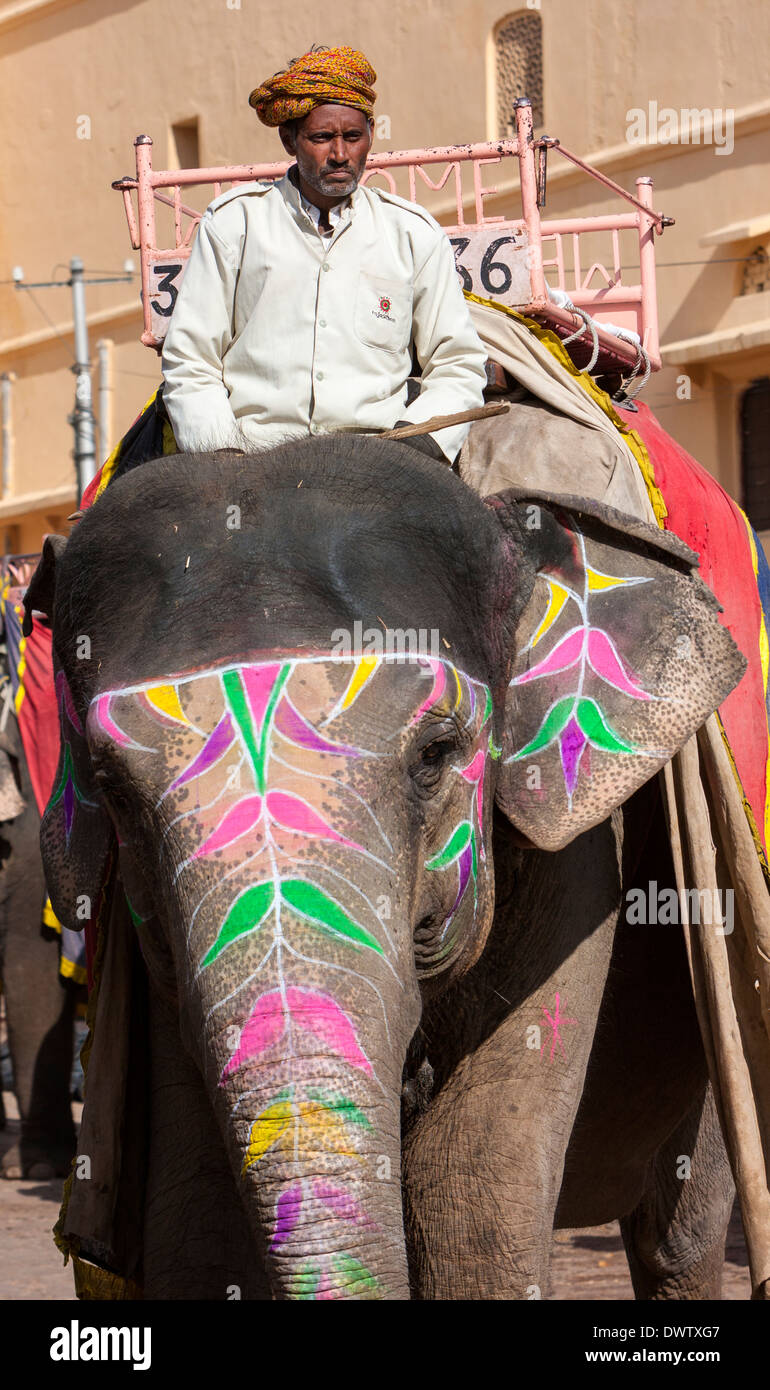 Ámbar (o Amer) Palacio, cerca de Jaipur, Rajasthan, India. Mahout sobre los elefantes utilizados para llevar a los turistas a el patio del palacio. Foto de stock